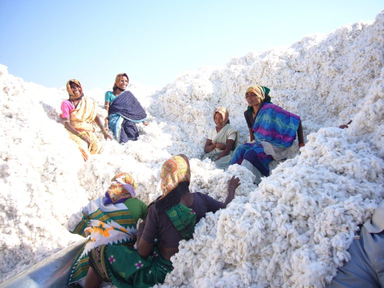 Egyptian cotton versus long staple fibre cotton, beware of amalgams!