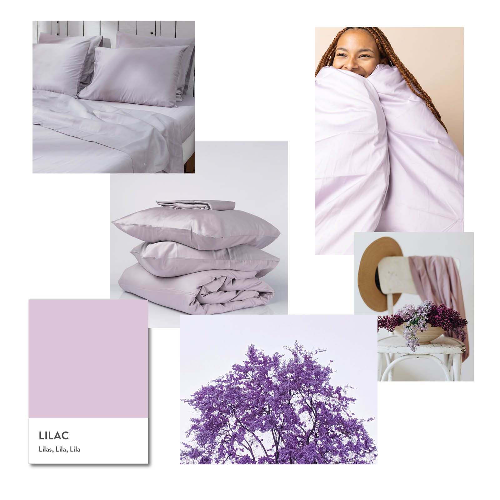kalani-colours-lilac