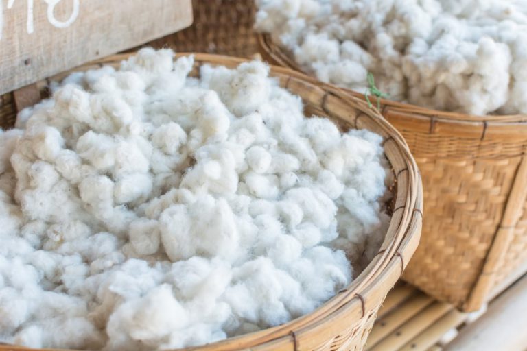 How organic cotton already achieves the 17 Sustainability Development Goals ?